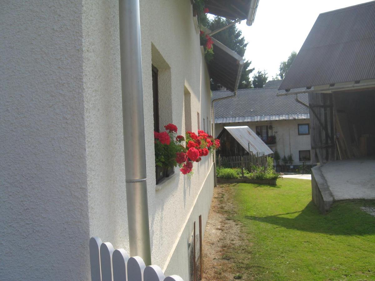 Apartma Tilika Kranjska Gora Extérieur photo